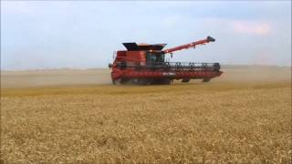 New Combine Case IH 9240 coupe 1250m [upl. by Socher]