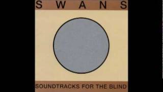 Swans  The Sound [upl. by Wattenberg]