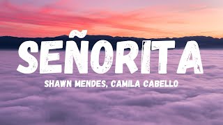 Shawn Mendes Camila Cabello  Señorita LYRICSLETRA [upl. by Gibbeon]