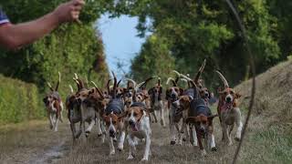 AUX VENTS DES CHARENTES trompedechasse venerie [upl. by Barty]