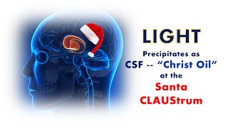 LIGHT Electromagnetic Energy Received by the CLAUSTRUM Precipitates as CSF [upl. by Dahij]