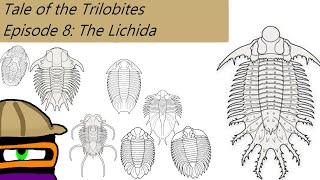 The Tale of The Trilobites Ep 8 The Lichida [upl. by Inan]