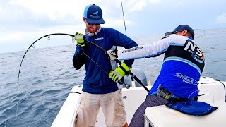 Monster Grouper Spinning Tackle Fishing Challenge [upl. by Olnee330]