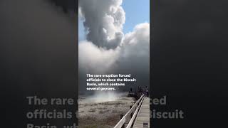 Watch Hydrothermal explosion at Yellowstone sends guests running Shorts [upl. by Rance]