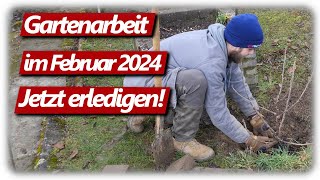 Gartenarbeit Februar  Feigen schneiden Weinreben Gartenplanung Johannisbeeren pflanzen amp düngen [upl. by Rickard]