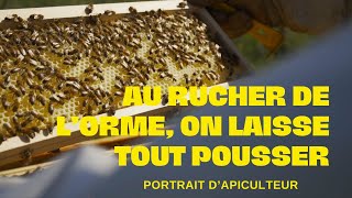 AU RUCHER DE LORME LABEILLE EST REINE [upl. by Assile]