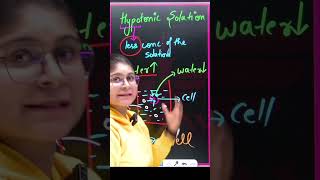 Hypotonic Solution  Biology  exam ytshorts shorts viralshort [upl. by Ynove]