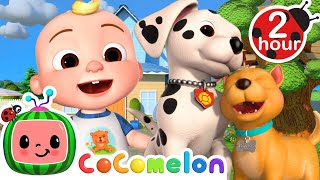 Puppys Can Have Playdates Too  CoComelon Kids Songs amp Nursery Rhymes [upl. by Eelirem]