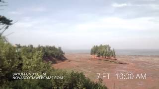 50ft tides in Burntcoat Head Park Nova Scotia [upl. by Lenka]