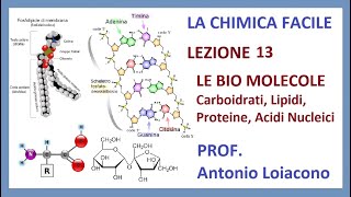 LA CHIMICA FACILE  Lezione 13  Le Biomolecole [upl. by Will]