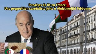 Punaises de lit en France Une proposition surréaliste faite à Abdelmadjid Tebboune [upl. by Danaher]