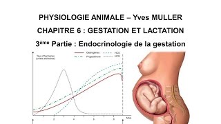 Chapitre 63 Hormones et gestation [upl. by Treblah]