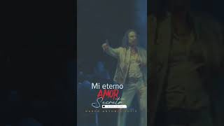 Mi eterno amor secreto  Marco Antonio Solís [upl. by Nnayrrehs]