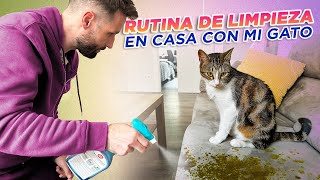 CÓMO TENGO MI CASA SIEMPRE LIMPIA viviendo con un GATO 🏠🧼🐈🧹  Rutina de limpieza con Alcachofo🐯 [upl. by Duke915]