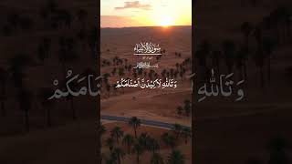 Surah Anbiya verse 57 Quran recitations dailyverse [upl. by Augie]