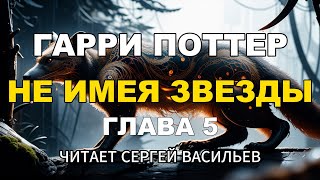 Не имея звезды  Глава 5  Гарри Поттер аудиокнига Васильев С [upl. by Lontson]