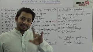 03 Nematoda  Annelida  Mollusca  HSC Zoology Chapter 1  Major Phylum Part 2 [upl. by Enatan]