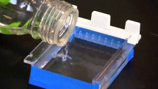 Casting an Agarose Gel [upl. by Tallu]