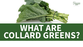 What Are Collard Greens [upl. by Anida]