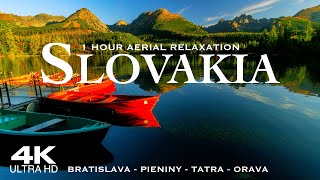 4K SLOVAKIA amp Bratislava 2024 🇸🇰 1 Hour Drone Aerial Slovak Republic  Slovensko Slovenská [upl. by Oisacin561]