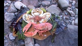 A foraged Pembrokeshire wild seafood feast cooked on the shore with Craig Evans [upl. by Lebiram]