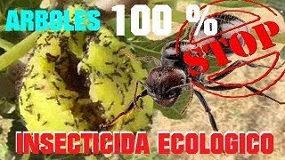 ELIMINAR HORMIGAS EN 1 DIA ECOLOGICAMENTE SIN PESTICIDAS DE ARBOLES  VIVIR EN EL CAMPO [upl. by Baese]