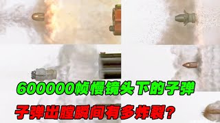 600000帧慢镜头下的子弹出膛瞬间。 从 22LR到 50BMG：子弹出膛全过程综艺 解说 解說 [upl. by Nyre]