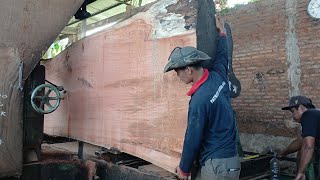 BIGGEST MAHONY WOOD  Dramatic Sawing Process To Make Kay Slabs [upl. by Viddah171]