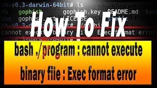 ls is not recognized as an internal or external command operable program or batch file in cmd [upl. by Meehahs]