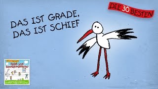 Das ist grade das ist schief  Die besten Spiel  und Bewegungslieder  Kinderlieder [upl. by Wooldridge]