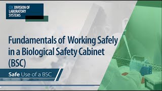 Fundamentals of Working Safely in a Biological Safety Cabinet BSC Safe Use of a BSC [upl. by Ahseret918]