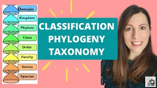 Classification of species taxonomy phylogenetic classification and binomial system for ALevel Bio [upl. by Aivax]