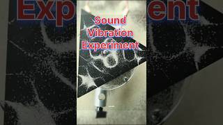 Sound Vibration Experiment  Science Experiment 🤯 science facts [upl. by Otreblada592]