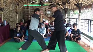 Silat Cimande the Deadly Pencak Silat Martial Art part2 [upl. by Allesiram]