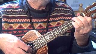 Halfway Down the Stairs  Solo Ukulele  Colin Tribe on LEHO [upl. by Rolo]