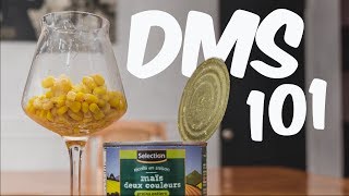 Whats DMS Dimethyl Sulfide [upl. by Nadabus492]