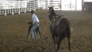 Calf Roping Horses for sale  trained by Jason Hanchey [upl. by Retloc]