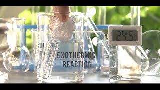 Reaction of Calcium oxide Quicklime with water  Exothermic Reaction  CaO  H2O EXPERIMENT [upl. by James898]