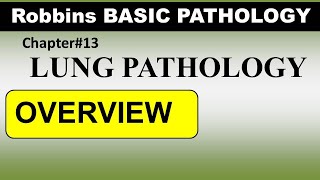 Chp13 Robbins Patho  Lung Pathology  Overview of Lung Disorders [upl. by Zertnom]