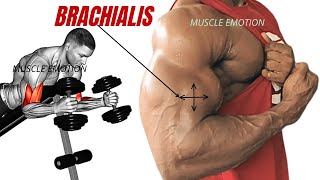 13 BEST BRACHIALIS WORKOUT AT GYM TO GET BIGGER ARMS FAST [upl. by Tannen92]