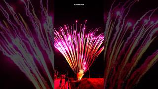 156 Shots Purple Peacock fireworkscake merrytimefireworks 美太156发紫孔雀 [upl. by Trubow]