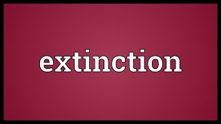 Extinction Meaning [upl. by Spurgeon]