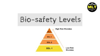 Biosafety Level 1 2 3 4 in hindi  Biosafety level easy explanation [upl. by Farand]