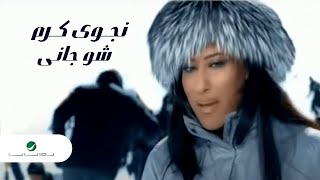 Najwa Karam Shou Jani نجوى كرم  شو جانى [upl. by Artenak]