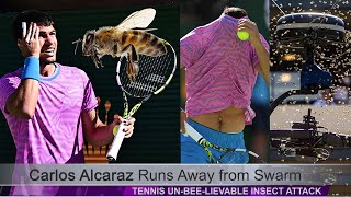 Carlos Alcaraz Runs Away from Swarm Tennis Un Bee Lievable Insect Attack [upl. by Adila]