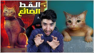 القطة الضائعة في مغامرة مجنونة 1 😳🔥  Stray 🐈 [upl. by Alanson259]