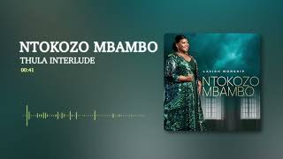 Ntokozo Mbambo  Thula Interlude Visualizer [upl. by Cenac]