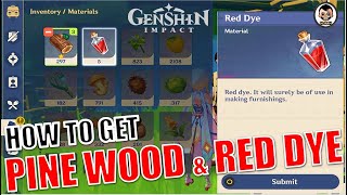 Quick Guide How to get Pine Wood and Red Dye  Collect Furniture Materials  Genshin Impact [upl. by Analla]