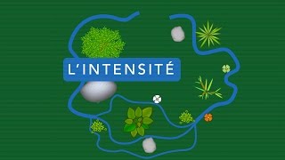 Lintensité électrique [upl. by Llennoj]