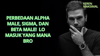 Perbedaan Alpha Male Sigma dan Beta Male Lo Masuk yang Mana Bro [upl. by Yelkao892]